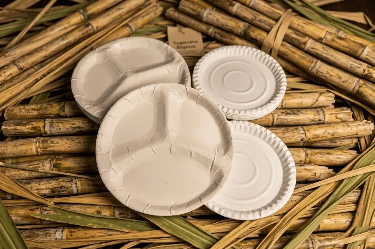Bagasse Tableware